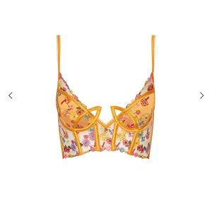 For Love & Lemons Meadow Embroidery Bustier - Orange